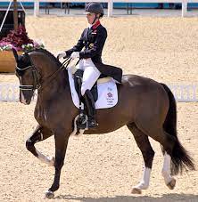 Valegro, famous as blueberry, hanging out with alan davies, his long time groom. Valegro Wikipedia