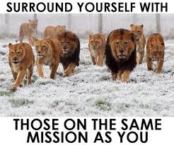 Birds Of The Same Feather Flock Together Meme Birds Is The Same Feathers Flock Together Inspirational Quotes Lion Quotes Mission