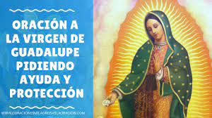Estoy rezando esta oración a cada momento, a cada instante día y noche: Oracion A La Virgen De Guadalupe Pidiendo Ayuda Y Proteccion