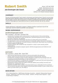 Job Coach Resume Samples Qwikresume In 2020 Resume Examples Business Analyst Resume Security Resume