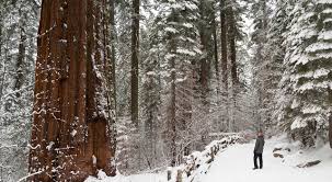 It's also home to inviting lake mcdonald lodge and the trailhead for the popular avalanche lake hike. Winter In Yosemite National Park Outdoor Project
