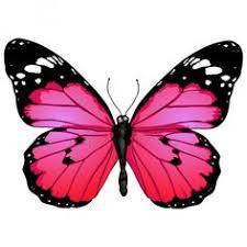 Pin on tattoo schmetterling / bunte schmetterlingsmotive ausdrucken / bunte schmetterlinge aus ton . Die 170 Besten Ideen Zu Schmetterling Malen In 2021 Schmetterling Malen Schmetterling Malerei