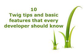 The coding style for one project may use camelcase for variables, while another may use under_scores. 10 Twig Tips And Basic Features That Every Developer Should Know Our Code World