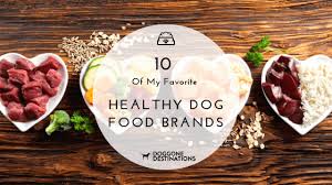 Unfollow now dog food to stop getting updates on your ebay feed. 10 Of My Favorite Healthy Dog Food Brands Right Now
