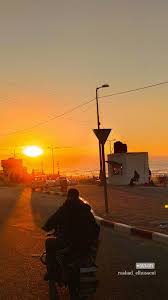 ورد أصفر طبيعة شجر اصفر غزة طبيعة جميل فلسطين القدس كلام تصوير صور ابيض صباح خير صل in 2021 celestial outdoor sea