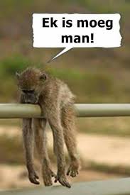 Moeg Afrikaans Afrikaans Quotes Afrikaanse Quotes African Quotes