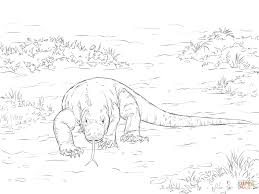 If it loses a tooth the tooth willl re grow. Realistic Komodo Dragon Coloring Pages Novocom Top