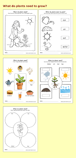 Needs Of Plants Kindergarten Worksheets Preschool Parenting Science Children Plants Worksheets Plants Kindergarten Plant Unit Kindergarten