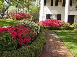Azaleas Bordered By Boxwood Texas Landscaping Azaleas Garden Azaleas Landscaping