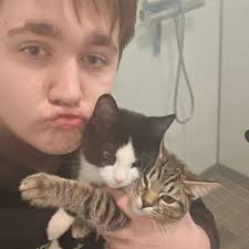 Vaksinering og sterilisering av 2 kattunger