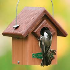 Look for bluebird houses that are nabs approved (north american bluebird society). Duncraft Com Duncraft 3102 Eco Friendly Bird House