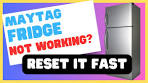 Maytag Fridge Not Working? Here's How to Reset It