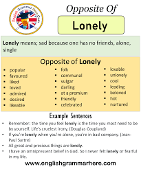 Opposite Of Lonely Antonyms Of Lonely Meaning And Example Sentences Antonym Opposite Words Contradict Each Other And Meet O Opposite Words Antonyms Sentences