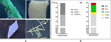 The northwest lab provides the university science community with open and flexible laboratory spaces to encourage interdisciplinary research clusters. Characterization Of Petroleum Based Plastics And Their Absorbed Trace Metals From The Sediments Of The Marina Beach In Chennai India Environmental Sciences Europe Full Text