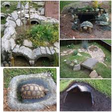 This is an intensely visual and quite hilarious cartoon directed by tex avery starring a silent spike waging war on a marauding gopher laying waste to a vegetable garden. Pin By Lamarieposa On Turtle Habitat In 2021 Tortoise Enclosure Outdoor Tortoise Enclosure Tortoise Habitat