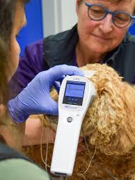 V'27 is in the house! 👋🎉 New Student Orientation is all wrapped up and  these newcomers are off to officially begin their VMD journey