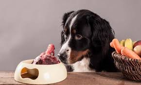Raw dog food is packed with all the nutrients your dog needs and is the most natural choice for them. Scientists Criticise Trend For Raw Meat Pet Food After Analysis Finds Pathogens Microbiology The Guardian