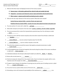 Anatomy And Physiology Unit 6 Key Nervous System Review Sheet