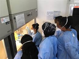 .dr d erasmus task applied science founder & ceo, professor andreas diacon task applied science investigator, caryn upton task applied science investigator, naadira vanker task. Tb Molecular Diagnostics Workshop Pandora