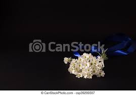 • in arrangements of assorted flowers, the colors shown online will be used if at all possible, even if this means substituting other kinds of flowers of equal or greater value. Bouquet Of Small White Flowers With A Blue Ribbon On A Black Bac Bouquet Of Small White Flowers With A Blue Ribbon On A Canstock