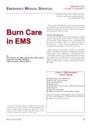 Pdf Burn Care In Ems