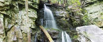 Baskins creek cabin rentals, inc. A Rr83ydfivrsm