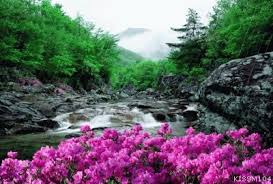 Image result for ‫عکس باران متحرک‬&lrm;