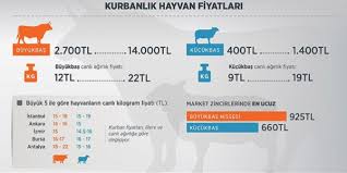 Antalya Buyukbas Hayvan Canli Kilogram Fiyatinda Turkiye Yi Solladi Memurlar Net