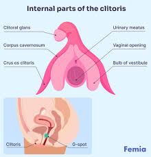 How to orgasm every time-for women