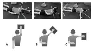 Image result for Shoulder Exam