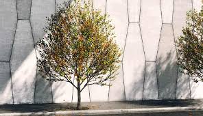 Free 3d Model Street Tree Street Trees Sketchup Model 3d Model