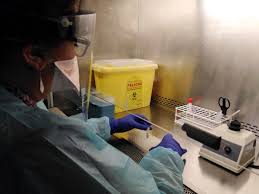 Ingresa y conoce nuestros horarios de atención actualizados, ubicaciones y más. En Cuatro Horas Se Obtiene El Resultado Test De Deteccion Rapida De Coronavirus Llega A Chile Meganoticias