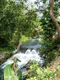 Retrouvez tous les synonymes du mot de rien présentés de manière simple et claire. Epingle Sur Caribbean