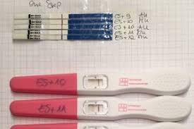 Ab wann kann man einen schwangerschaftstest machen? Fruhtest Ab Wann Erfahrungen Forum Kinderwunsch Urbia De