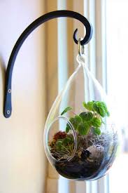 Le Terrarium De Printemps Un Morceau De Nature A La Maison Beautiful Terrariums Hanging Air Plants Air Plants Decor