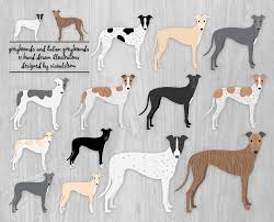 Black And White Greyhound Racing Greyhound Dog Breeds Clipart Italian Greyhounds And Racing Etsy In 2020 Pet Scrapbook Dog Images Racing Dogs