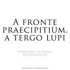 Life In Latin Latin Quotes Latin Phrases Words Quotes
