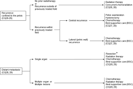 Cervical cancer is a cancer arising from the cervix. Japan Society Of Gynecologic Oncology Guidelines 2017 For The Treatment Of Uterine Cervical Cancer Springerlink