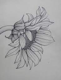 Ornamento fiore farfalla, bordo farfalla fiori, fiori astratti, arte png. Pencil Art Work Sunflower Mixed Media Original Drawing Print Drawn In 2013 I Really Wanted To Try A Little M Disegno Di Girasole Opere D Arte Disegno Di Fiori