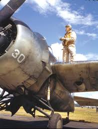 Image result for Blu Davis 1988 Fleet