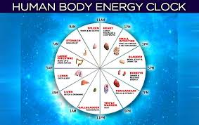 The Human Body Energy Clock Find Out The Optimal Time To Do