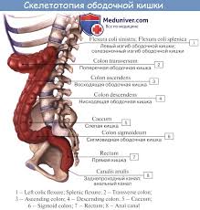 Check spelling or type a new query. Flexural Healing Shirts For Men Profil Ecoloko Forum
