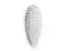 Drawing Fur With Pencils How To Draw Fur Art Drawings Sketches Simple Face Drawing