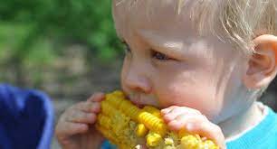 L'alimentazione non è cosa da poco, se si pensa che essa è la causa principale dei miglioramenti dei rendimenti scolastici di gruppi di bambini che negli stati uniti sono stati sottoposti a un cambio di. Dieta Vegana Per I Bambini Si Definitivo Dal Mondo Scientifico Vegolosi It