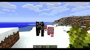 1 spawning 1.1 java edition 1.2 bedrock edition 1.3 breeding 2 drops 3 milking 4 behavior 5 sounds 6 data values 6.1 id 6.2 entity data 6.2.1 mooshroom type 7 achievements 8 advancements 9 history 10 issues 11 trivia 12 gallery 12.1 screenshots 12.2 in other media 13 external links 14 references red. How To Attract Animals In Minecraft Youtube