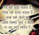 Shayari search