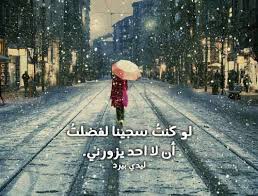 عبارات حزينة تقطع القلب ليدي بيرد