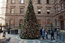 Quick conversions from new zealand dollar to indian rupee : Most Popular Christmas Getaways Where To Go For Christmas Oyster Com