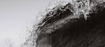 Image result for White 1996 CIL