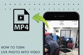The effects available in the app are what essentially gives the photo that animated feel which can be invoked using 3d touch gesture on the iphone 6s and iphone. How To Turn A Live Photo Into A Video Or Gifs 3 Ways